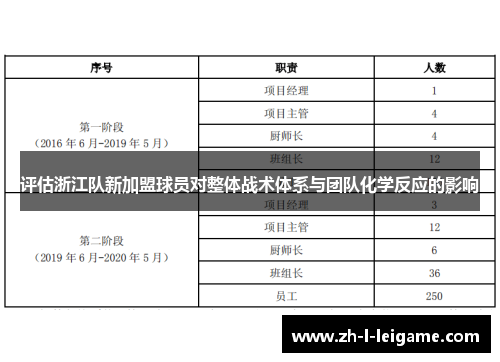 评估浙江队新加盟球员对整体战术体系与团队化学反应的影响