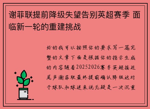 谢菲联提前降级失望告别英超赛季 面临新一轮的重建挑战