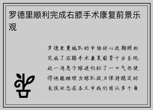 罗德里顺利完成右膝手术康复前景乐观 罗德里顺利完成右膝手术康复前景乐观